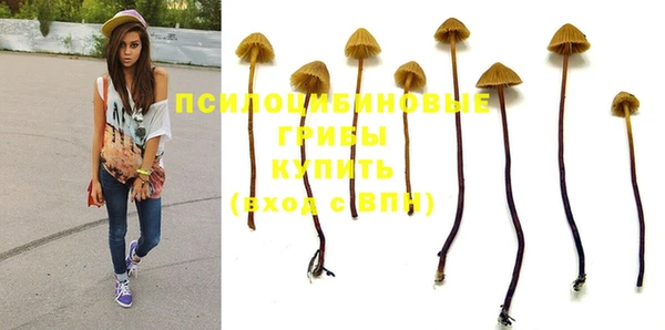 jwh Касимов