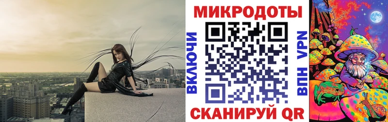 Псилоцибиновые грибы Psilocybe  Купить закладки  Пыталово 