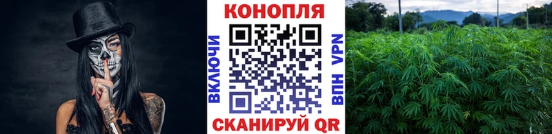 Купить где  Пыталово  Марихуана план 